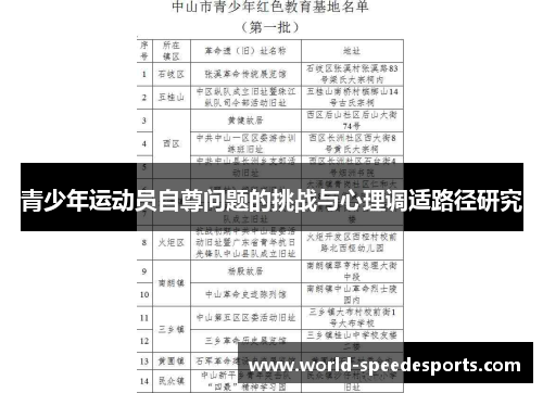 青少年运动员自尊问题的挑战与心理调适路径研究